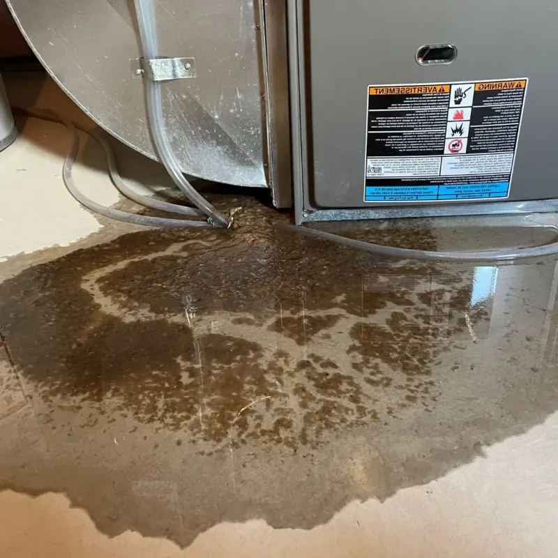 Pipe Burst and Leak Restoration in Valley County, NE