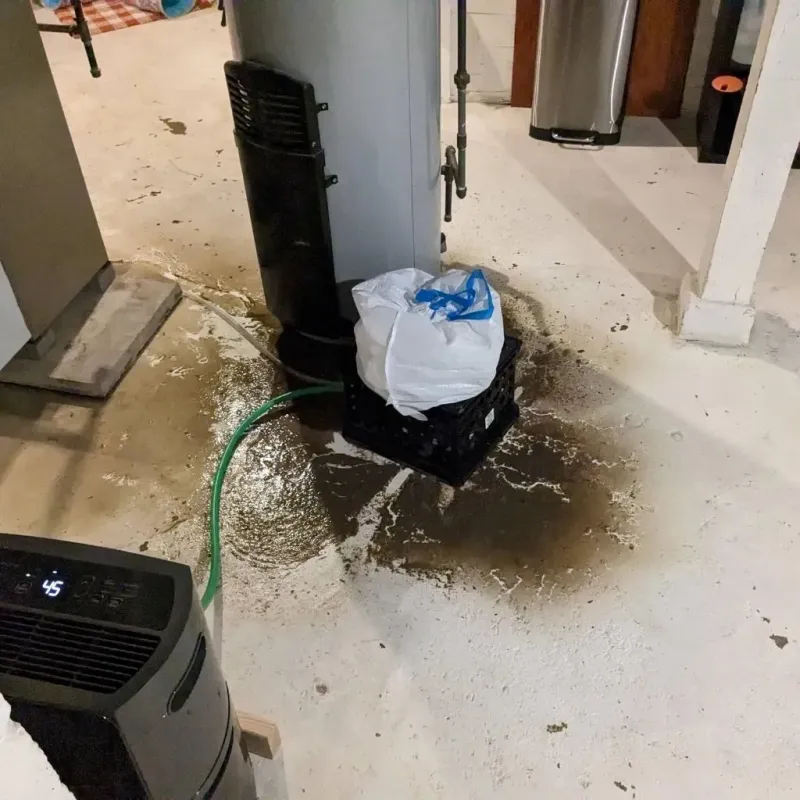 Sewage Backup Cleanup Service in Valley County, NE